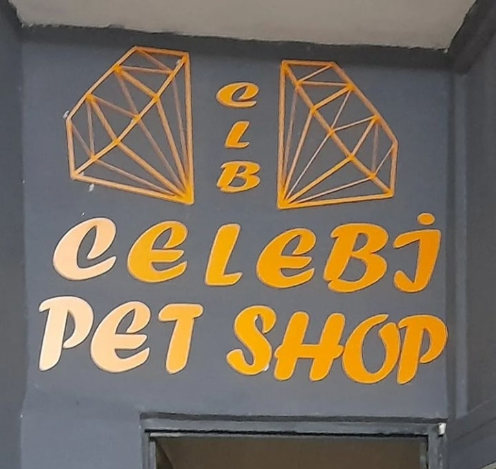 Celebi Ahşap Pet Shop