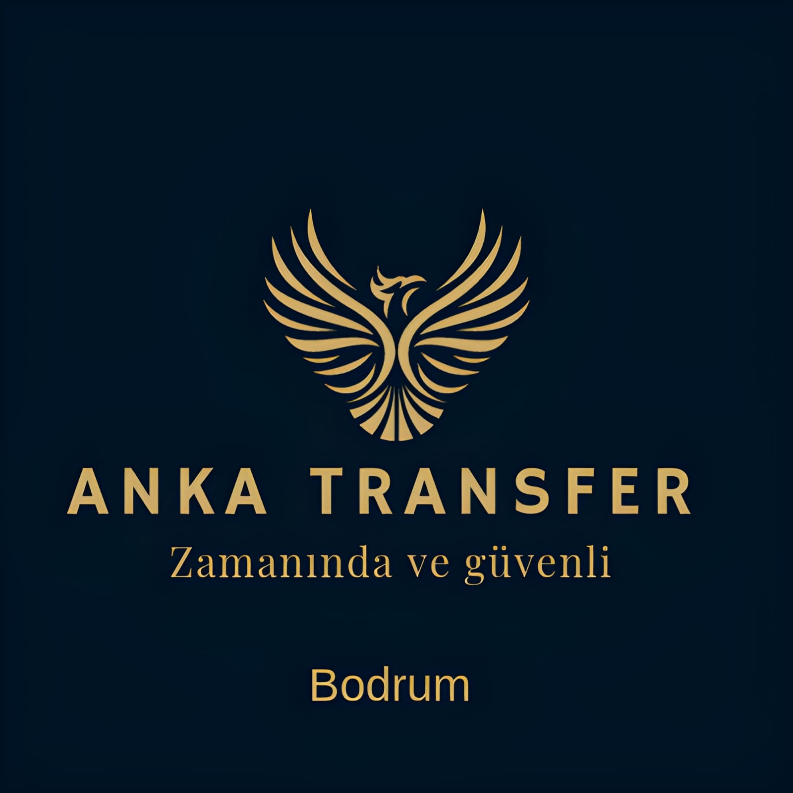 Anka Transfer