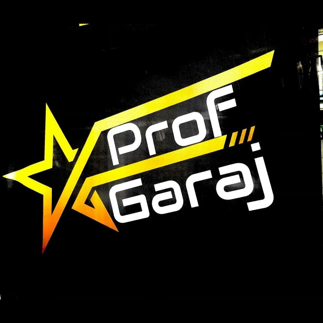 Prof Garaj