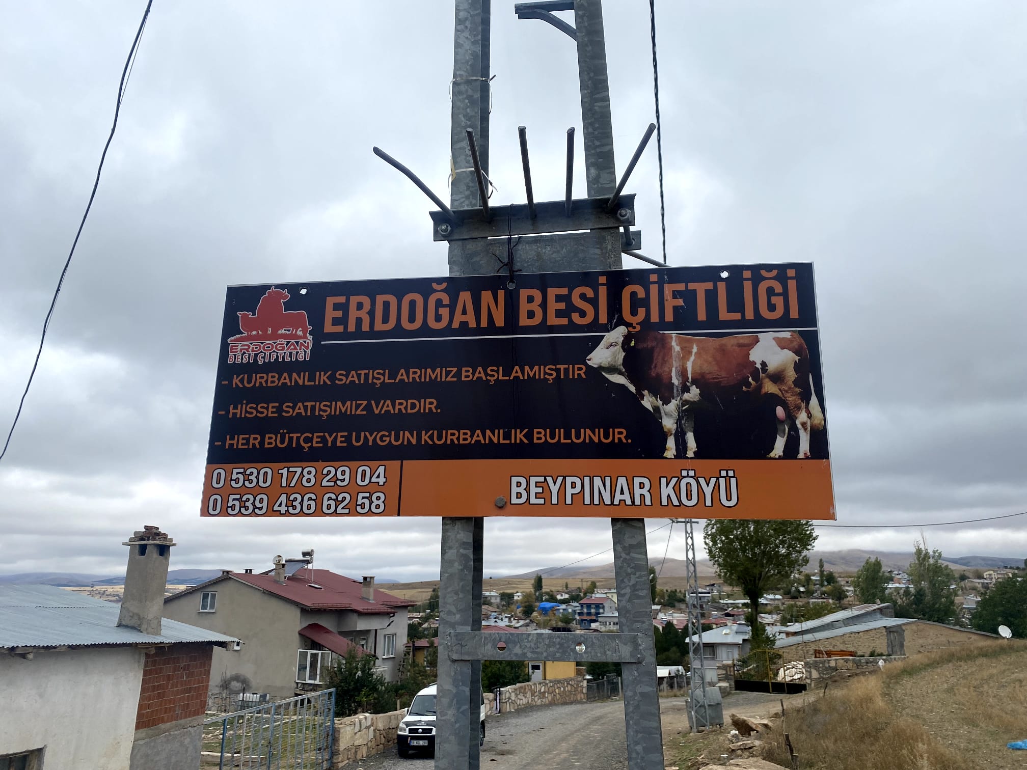 Erdoğan Besi Çiftliği