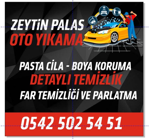 Zeytin Palas Oto Yıkama