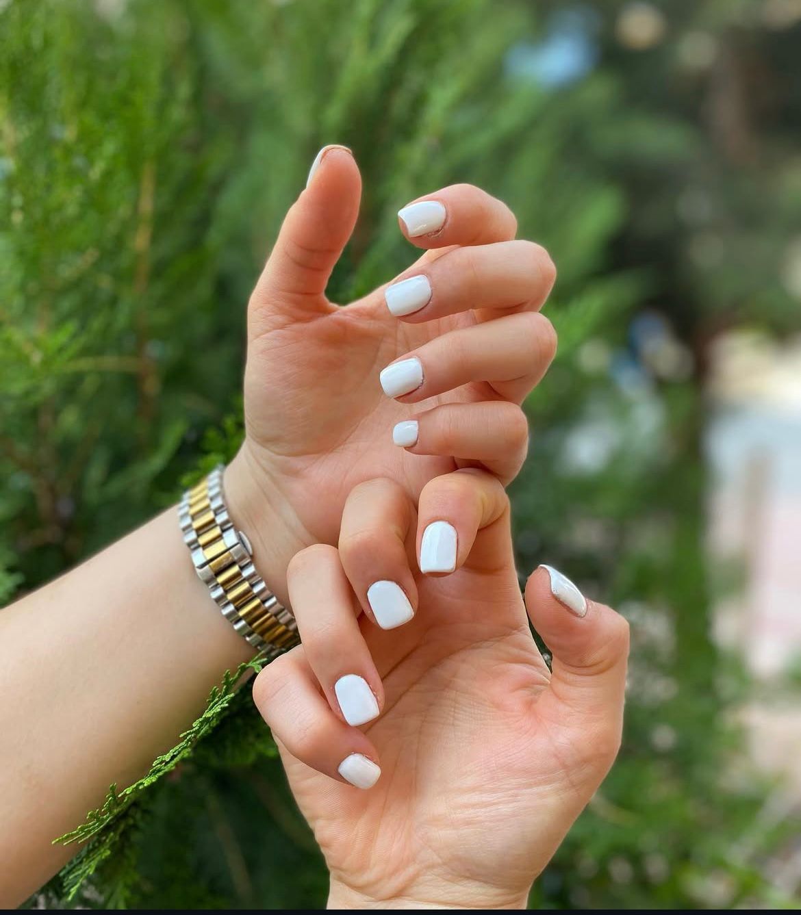 Beta Bayan Kuaförü