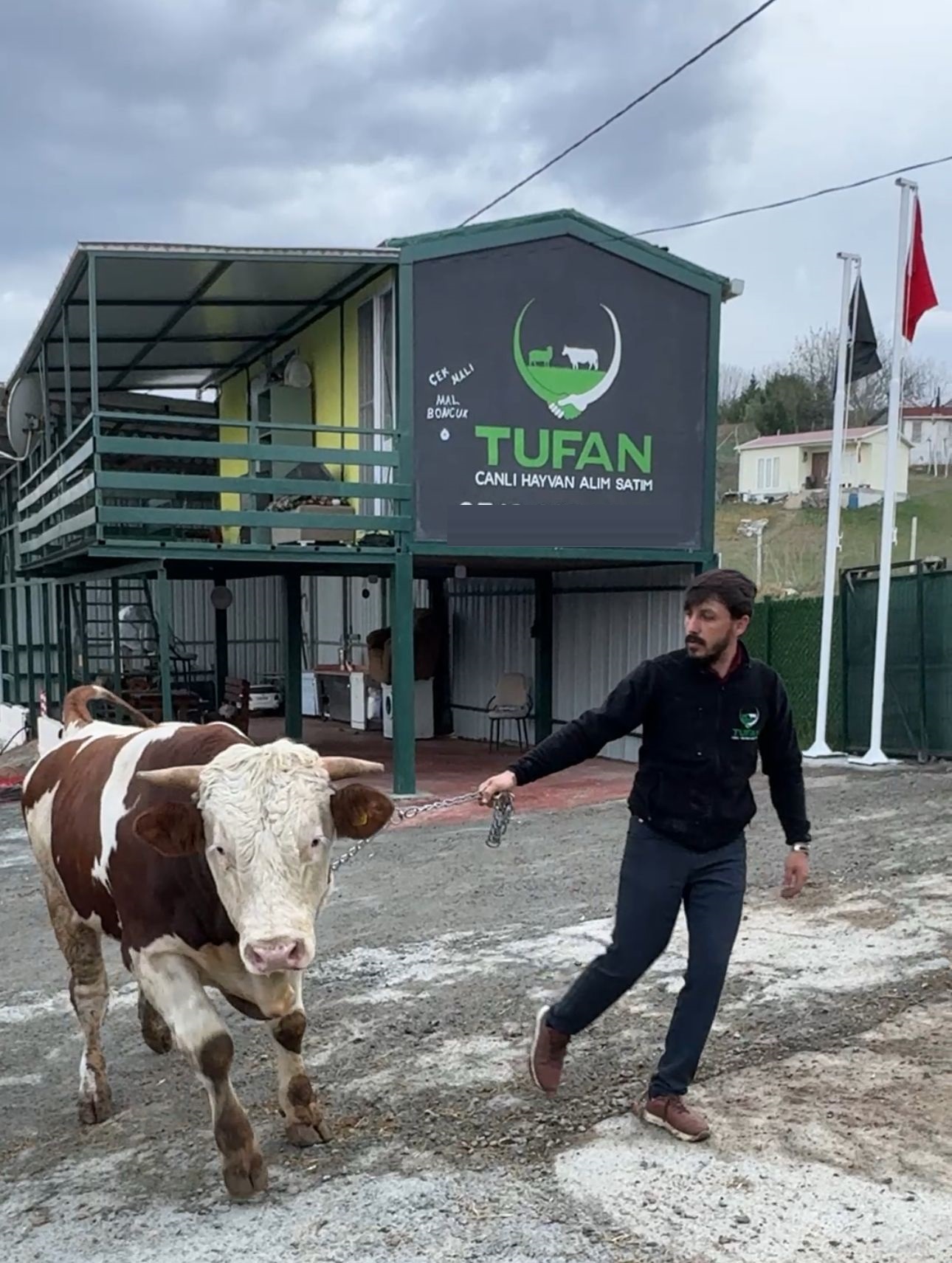 Tufan Hayvancılık Canlı Hayvan Alım Satım