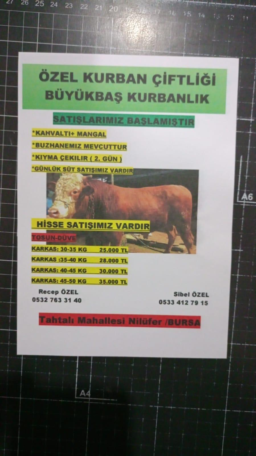 Özel Kurban ve Besi Çiftliği