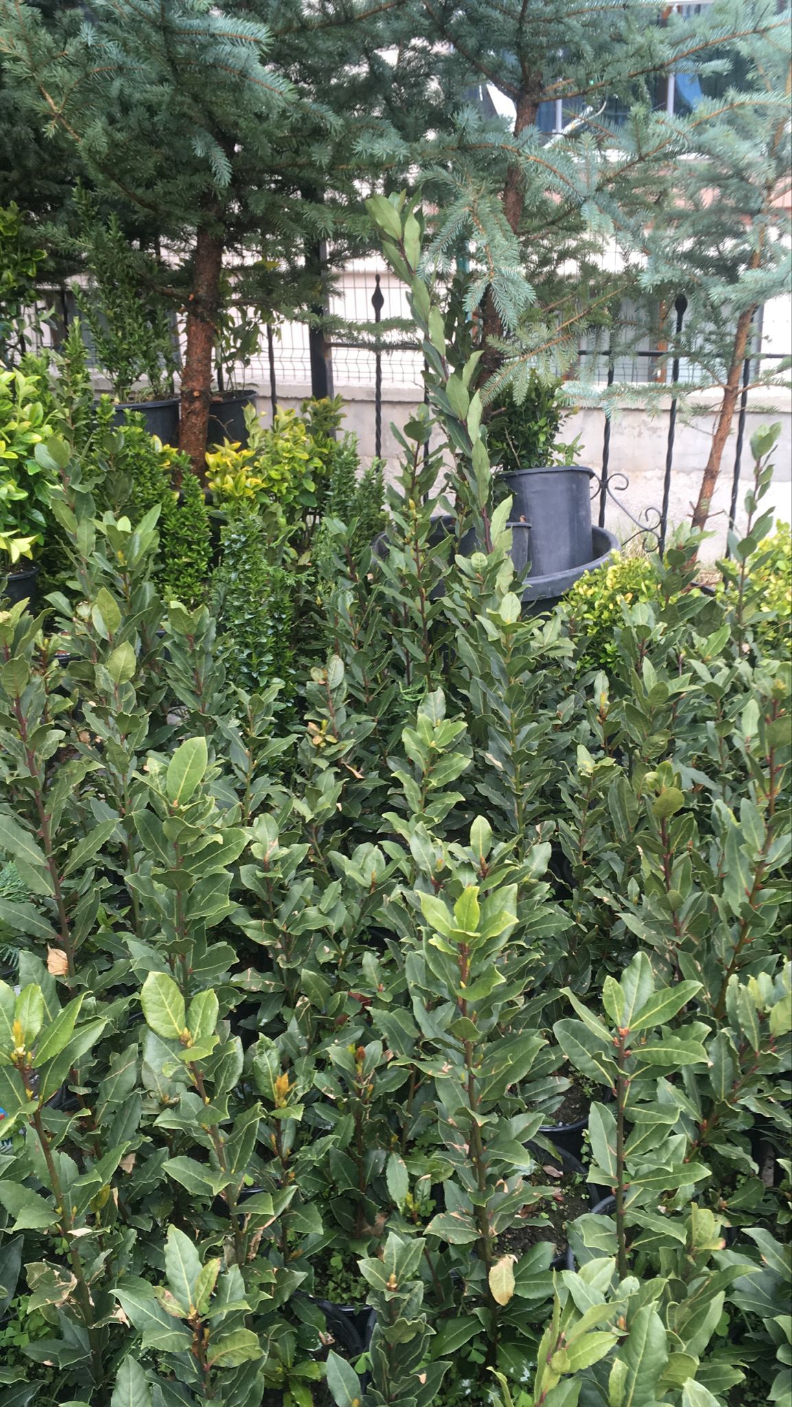 Ege İnşaat ve Çevre Düzenleme