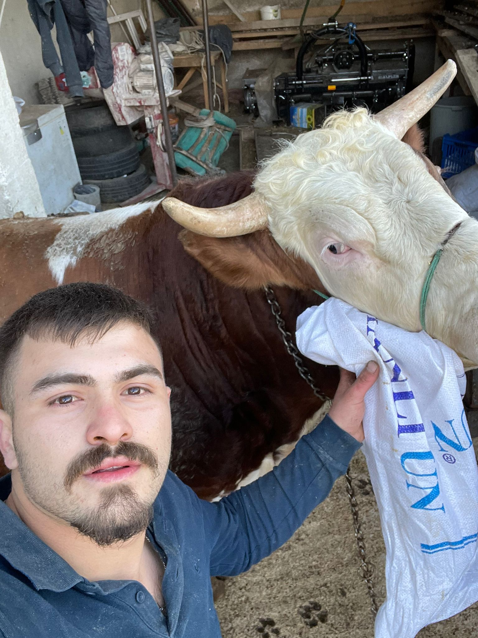 Arslanoğlu Besicilik