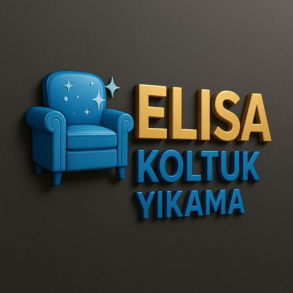 Elisa Koltuk Yıkama