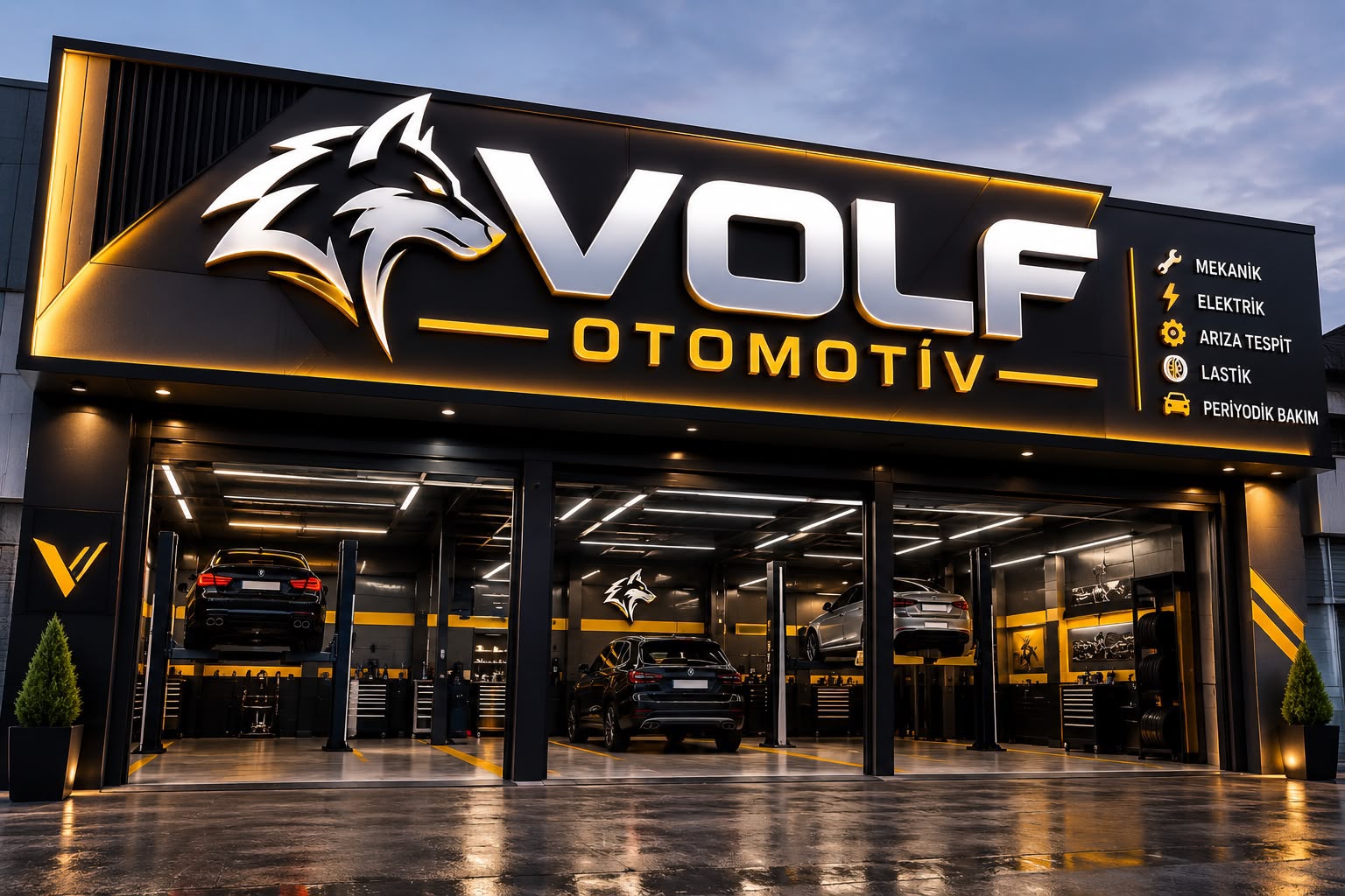 Volf Oto Tamir