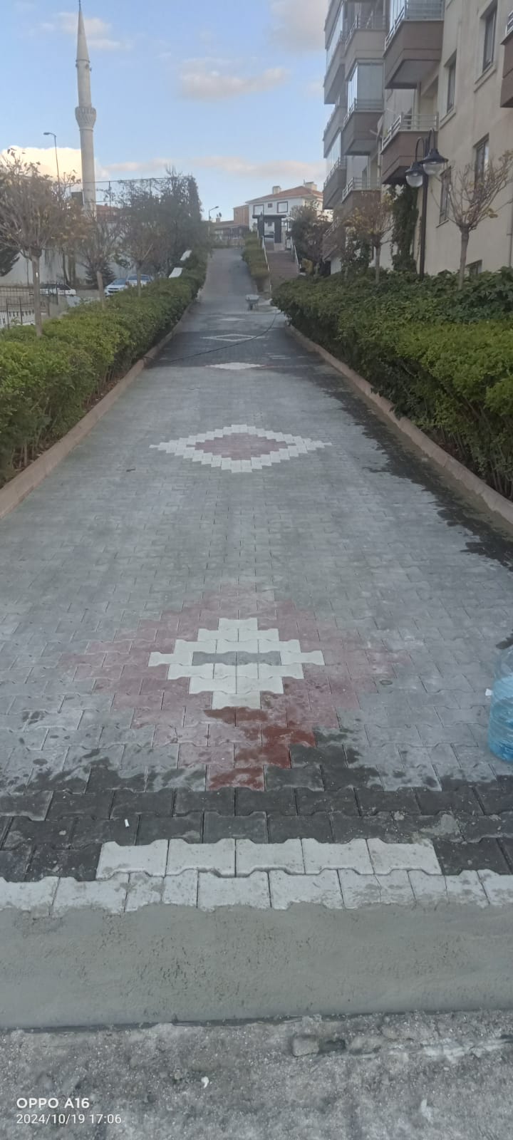 companyDetailTop